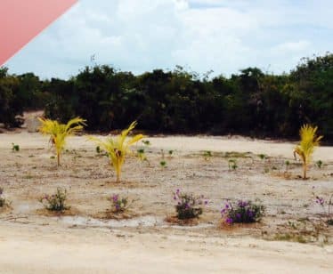 Turks Caicos Islands Long Bay Beach Rd Property Sold