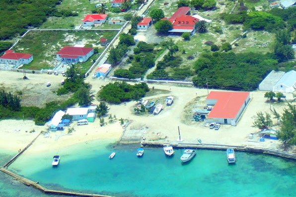 salt cat turks and caicos